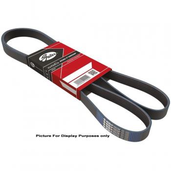 Cinghia Alternatore Gates 5PK705SF