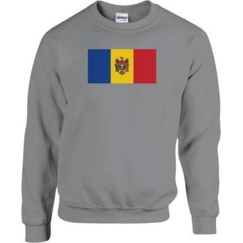 PixelForma Long Sleeve Moldovan Flag Shirt – Grey, Rounded Neck