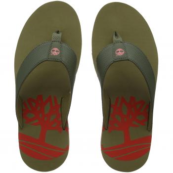 Timberland Wild Dunes, Tongs Homme, Vert (Grape Leaf with Boa A58), 40 EU
