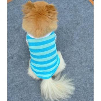 Costume Amusant pour Chihuahua