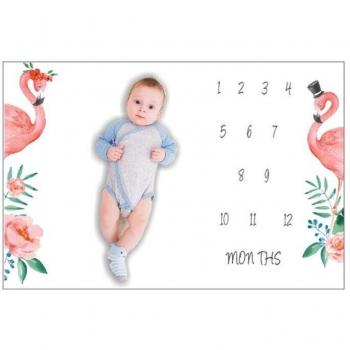 Toddler Milestone Blanket for Photography