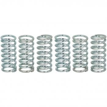TRW Koppelingveerset MEF160-6 6-delig
