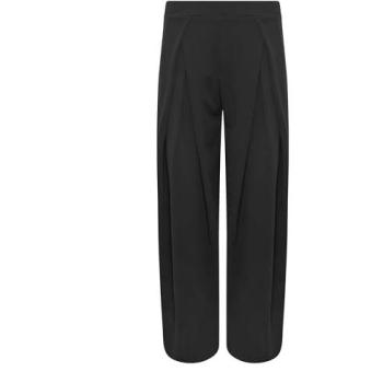 Soft Silhouette Black Pleated Pants – PixieGirl Women’s Collection