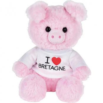 Bretagne Knuffelvarken JEMINI – 20 cm Roze – Voor Kleintjes