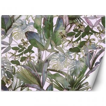 Parati Monstera Tropicali 250x175