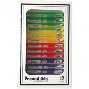 Kit Microscope Éducatif Portable – 60X‑120X