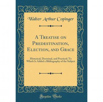 A Treatise on Predestination, Election, and Grace: Historical, Doctrinal, and Practical; To Which Is Added a Bibliography of the Subject