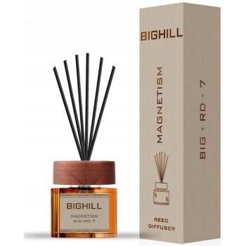 Profumo ambiente Magnetism Bighill Eyfel 120 ml