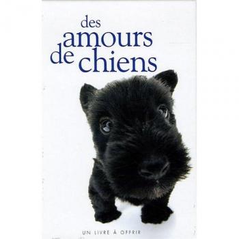 Amours de chiens