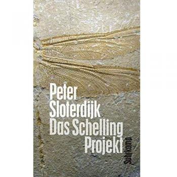 Das Schelling-Projekt: Bericht