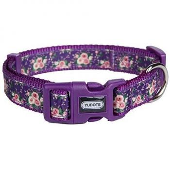 Petal Print Canine Collar – Petite, 25‑38 cm, Purple Haze