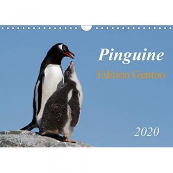 Pinguine