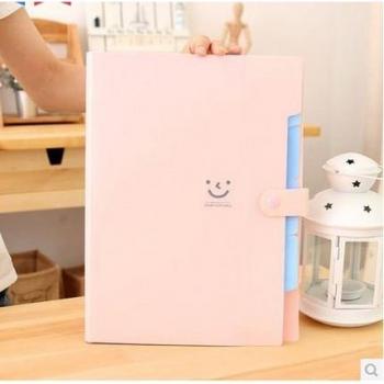 Cute Multi-Color A4 Document Folder with 5 Pockets
