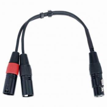 Cordial EY 0.3 FMM Y-Adapterkabel