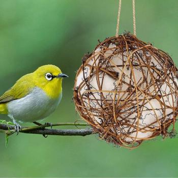 Boule en coton pour colibri