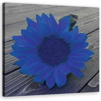 Peinture sur Toile Tournesol Bleu 30x30