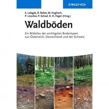 Waldböden: Ein Bildatlas der wichtigsten Bodentypen aus Österreich, Deutschland und der Schweiz