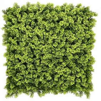 BONERVA MAL1205 MUSGO Jardín Vertical Artificial