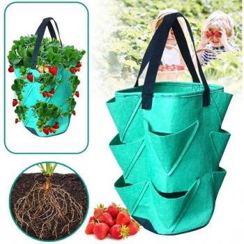 Vertical Strawberry Planter