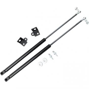 Ford Mustang Hood Gas Strut