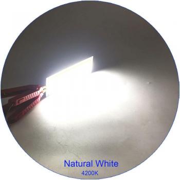 Lampe de Bricolage SUMBULBS 10W
