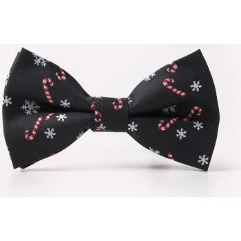 Ricnais Wedding Cravat Bow Tie for Men
