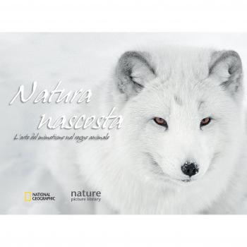 Natura nascosta. L'arte del mimetismo nel regno animale. Ediz. illustrata