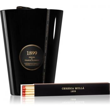 Cereria Mollá Gold Edition Aroma-Kerze Ingwer & Orangenblüte 3500 g