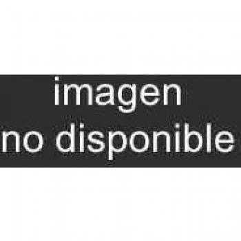 Impacto de la gran crisis mundial sobre el derecho del trabajo y la se