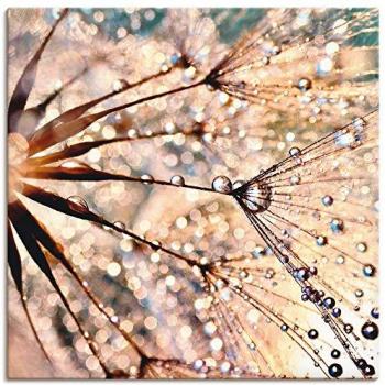 Artland Wanddeko Pusteblume