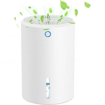 Portable 900Ml Electric Dehumidifier and Air Purifier with Defrost Function EU Plug