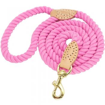 Nylon Dog Leash