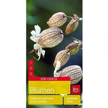 Blumen: Treffsicher bestimmen in drei Schritten