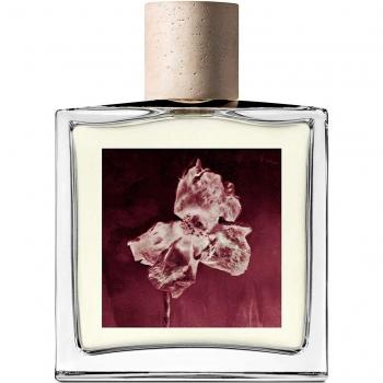 Unisex Parfüm Allsaints Flora Mortis EDP 100 ml