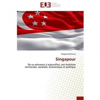 Singapour: De sa naissance à aujourd'hui, son évolution territoriale, sociétale, économique et politique (Omn.Univ.Europ.)