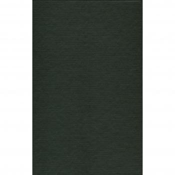 Watergate: The Presidential Scandal That Shook America