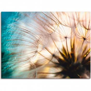 Artland Outdoorbild »Pusteblume«
