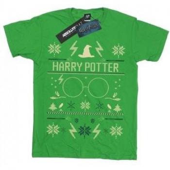 Tee enfant Harry Potter BI20925 couleur arc-en-ciel