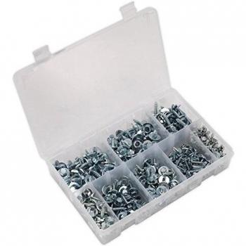 Acme Sealey 300‑Pack Zinc Screw & Washer Assortment (AB067SM)
