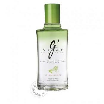 Ginebra G'Vine Floraison Botella 1.75L