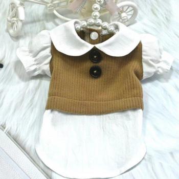 Camisa para perros pequeños