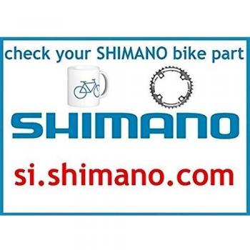 Shimano FH-C811 Dadi e Rondelle