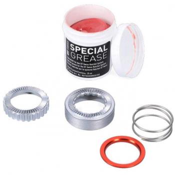 Dtswiss Kit Revisione Ratchet EXP 5D