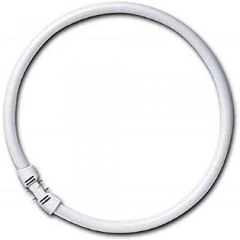 Lampada anellata Neutrale 22 W OSRAM Lumilux T5 FC 2Gx13