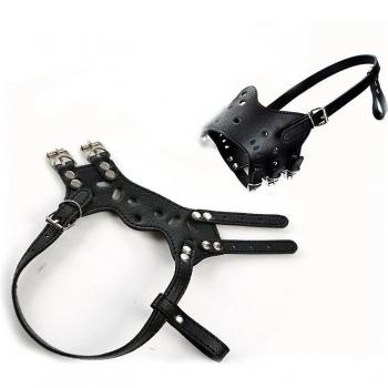 Dog Muzzle
