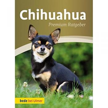 Annette Schmitt Chihuahua: Premium Ratgeber