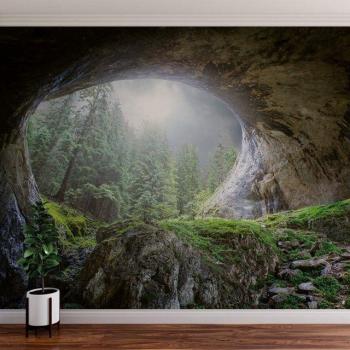 Décor Panoramique Paysage Naturel