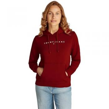 Tommy Jeans Kapuzensweatshirt TJW REG LINEAR HOODIE mit Logoschriftzug