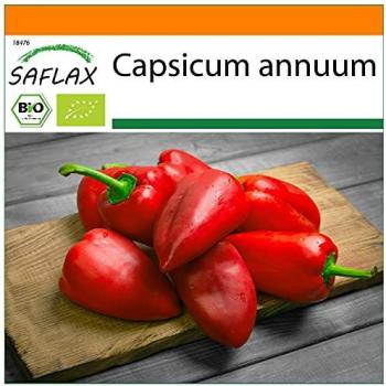 Barak Safflux Piment Bio Jardin En Sac 15 Graines avec Substrat