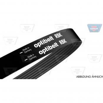 Correa acanalada en V OPTIBELT 8PK1165, Correa trapecial poli V OPTIBELT 8 PK 1165